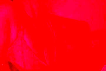Something About Fucking In The Red Room