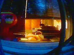 Spying through the window