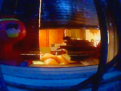 Spying through the window
