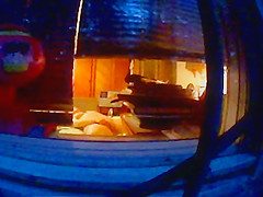 Spying through the window