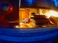 Spying through the window