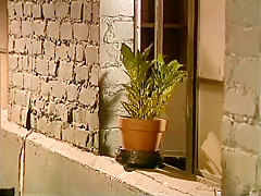 Talking plant makes people horny - Stallion Video