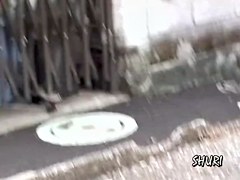 That Japanese ass deserves to be in a sharking video