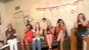 The Bear goes to the Bachelorette Party