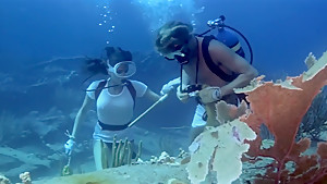 The Deep (1977) Jacqueline Bisset