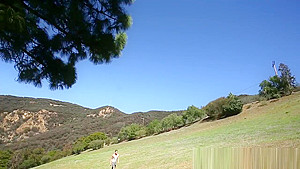 The Green Bush