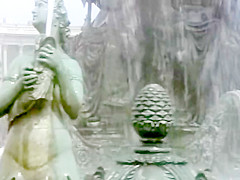 The Image