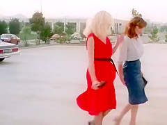 The Young Like It Hot (1981)