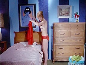 The brick dollhouse (1967)