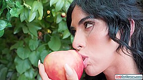 The story of Adam and Eve Trans version