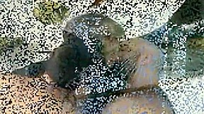 Three Scruffy Bushy Bears