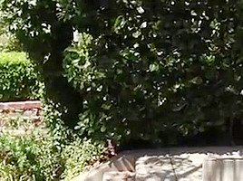Tisha Shows Her Full Ass In Public