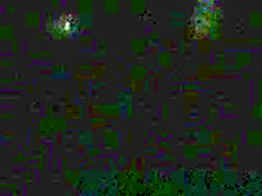 Two Girls Spied Going Toilet
