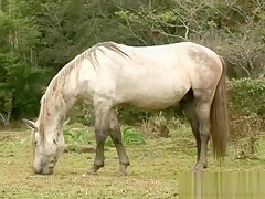 Two Horny Gay Barebacked Sex Hardciore
