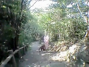 Varios Asian Mistress dog slave