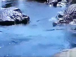 Wet Hot Indian Actress getting wet in sexy clothes in river