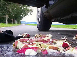 apple crushing