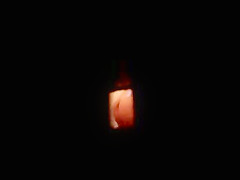 el culo de mi madre en la ducha 2