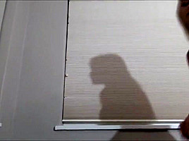 familly secrets 1