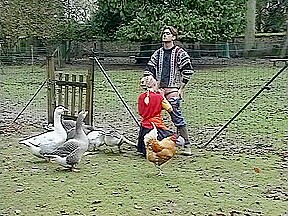 guy in ugly sweater plows chick's puss outside as nonplussed animals watch