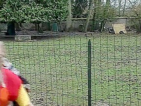 guy in ugly sweater plows chick's puss outside as nonplussed animals watch