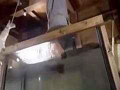 japanese girl bound and dunked