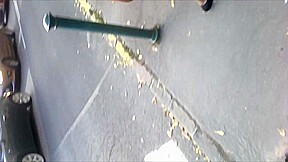 legs29