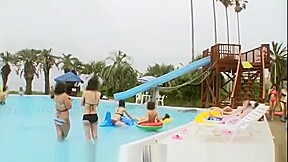 pp39586