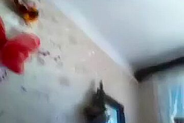 sandoflove intimate record on 06/11/15 from chaturbate