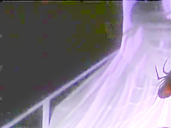 sex in nightclub