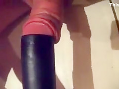 suck cock kiss