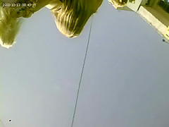 upskirt blondewhite